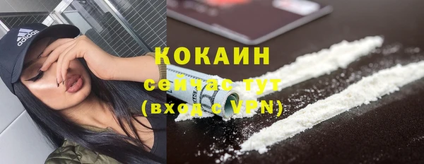 spice Каменка