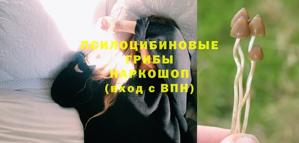 трава Карпинск