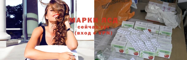 трава Карпинск