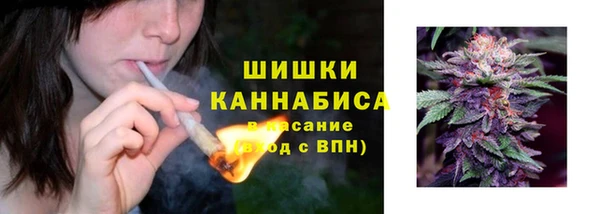 spice Каменка