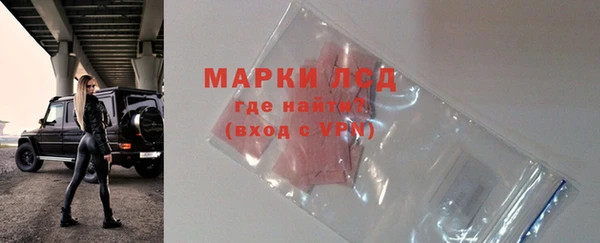 spice Каменка