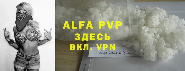 гашик Касимов
