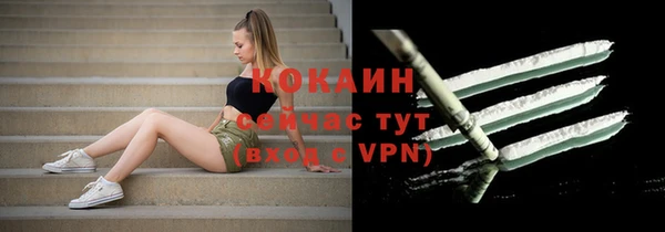 spice Каменка