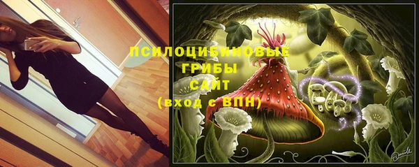 гашик Касимов