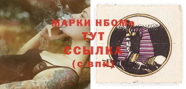 трава Карпинск