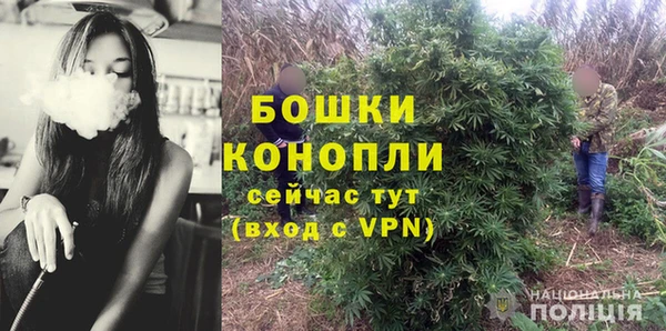 гашик Касимов