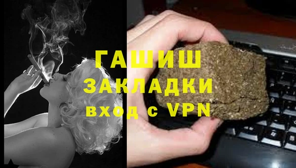 трава Карпинск