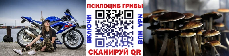 Купить где  Калач  Псилоцибиновые грибы мухоморы 